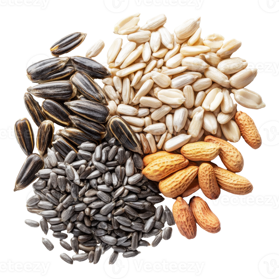 Various seeds arranged in a decorative display isolated transparent png
