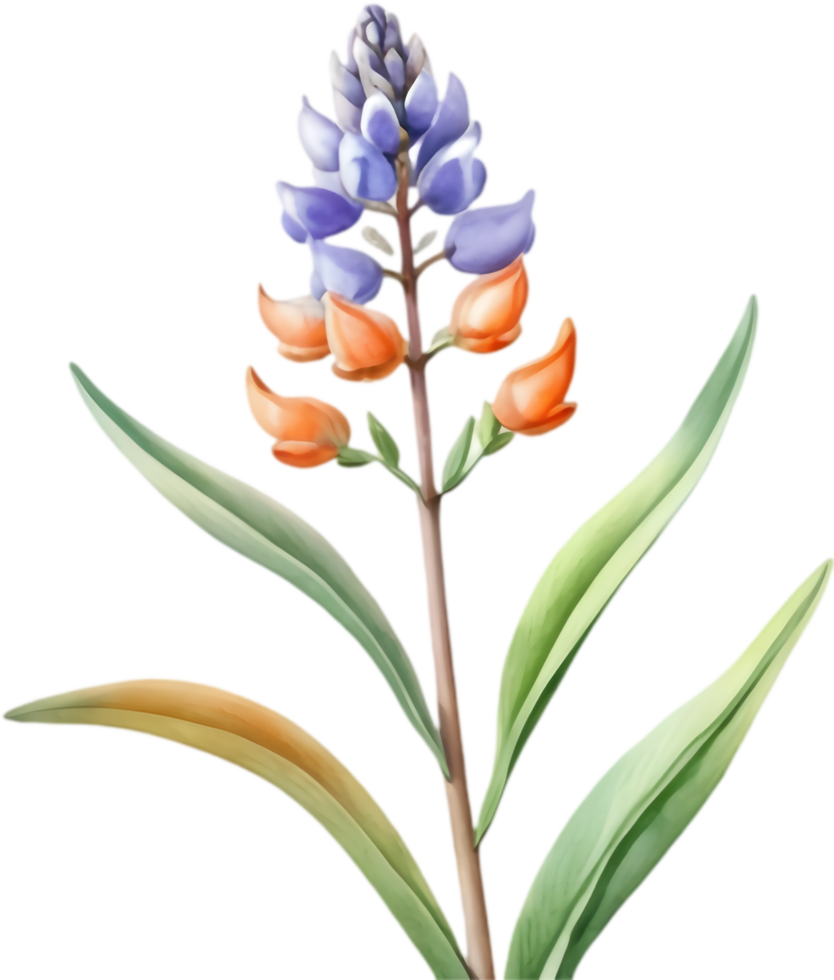 Lively Lupine Clipart for Childrens Activities. . png