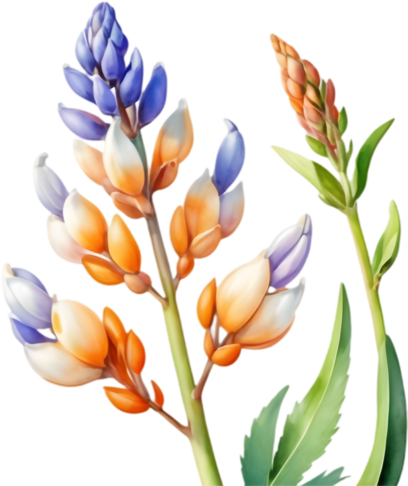 Nature-Inspired Lupine Clipart for Eco Projects. . png