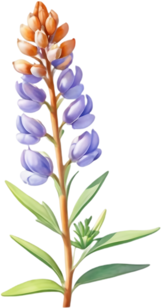 Elegant Lupine Clipart for Nature Lovers. . png
