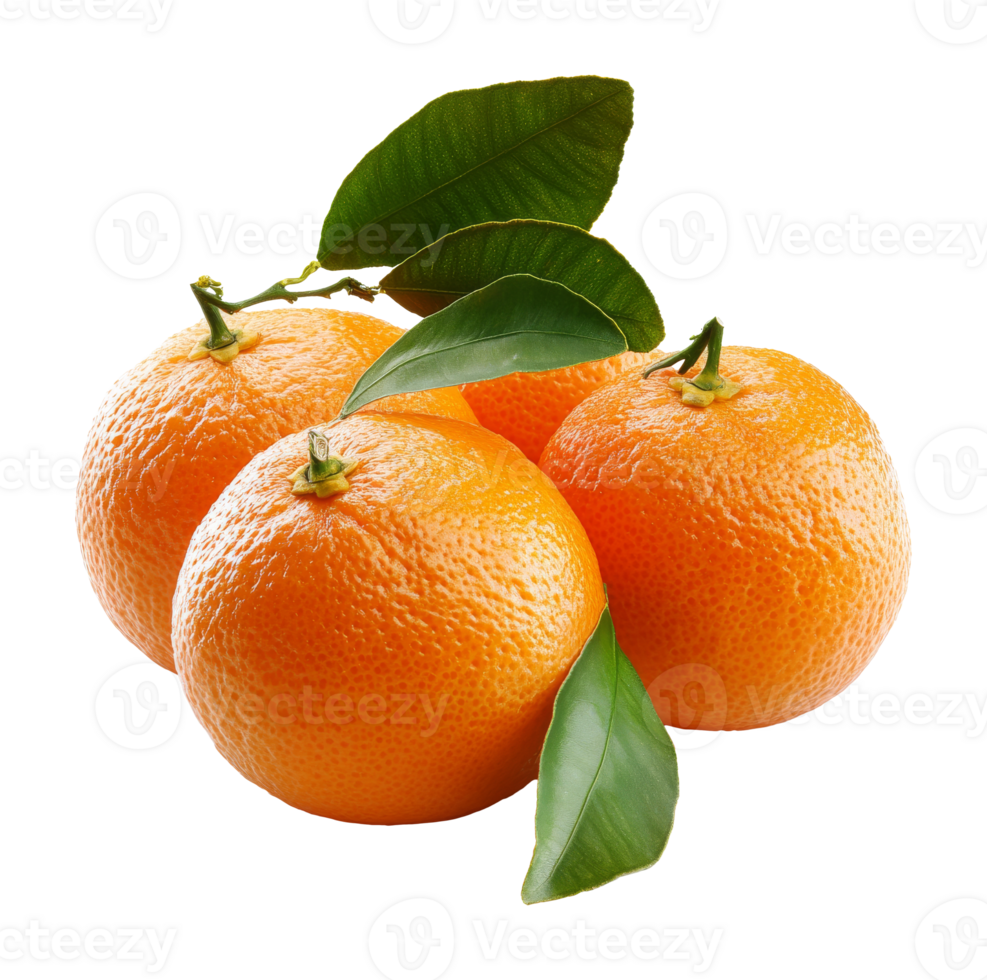 Fresh oranges with leaves on a white background isolated transparent png