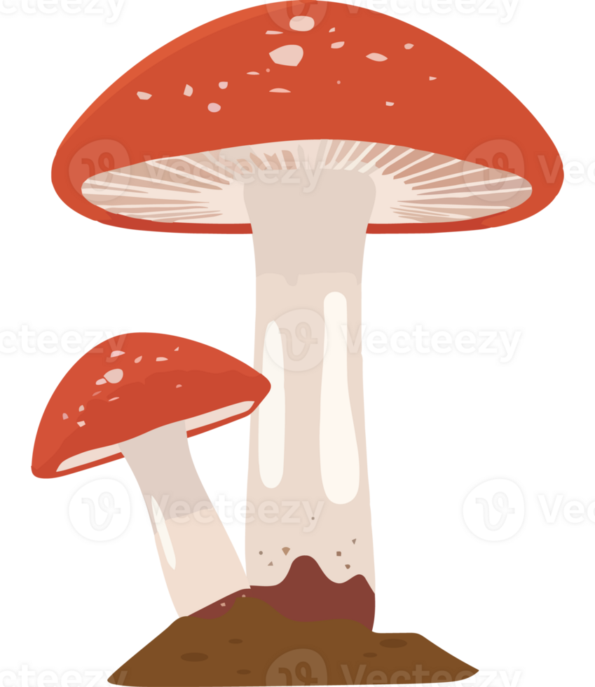 Two red mushrooms on a black background png