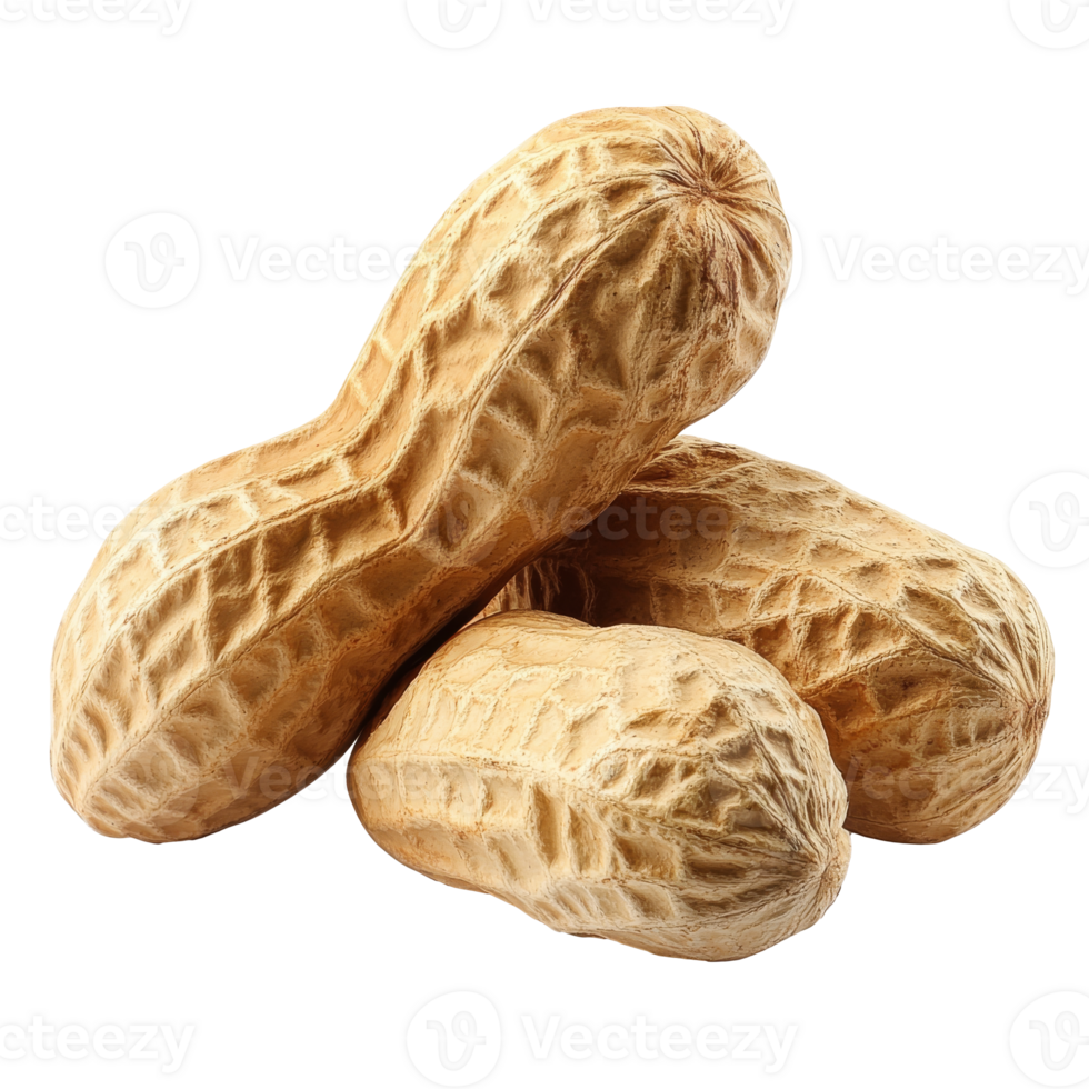 Natural unshelled peanuts on white surface isolated transparent png