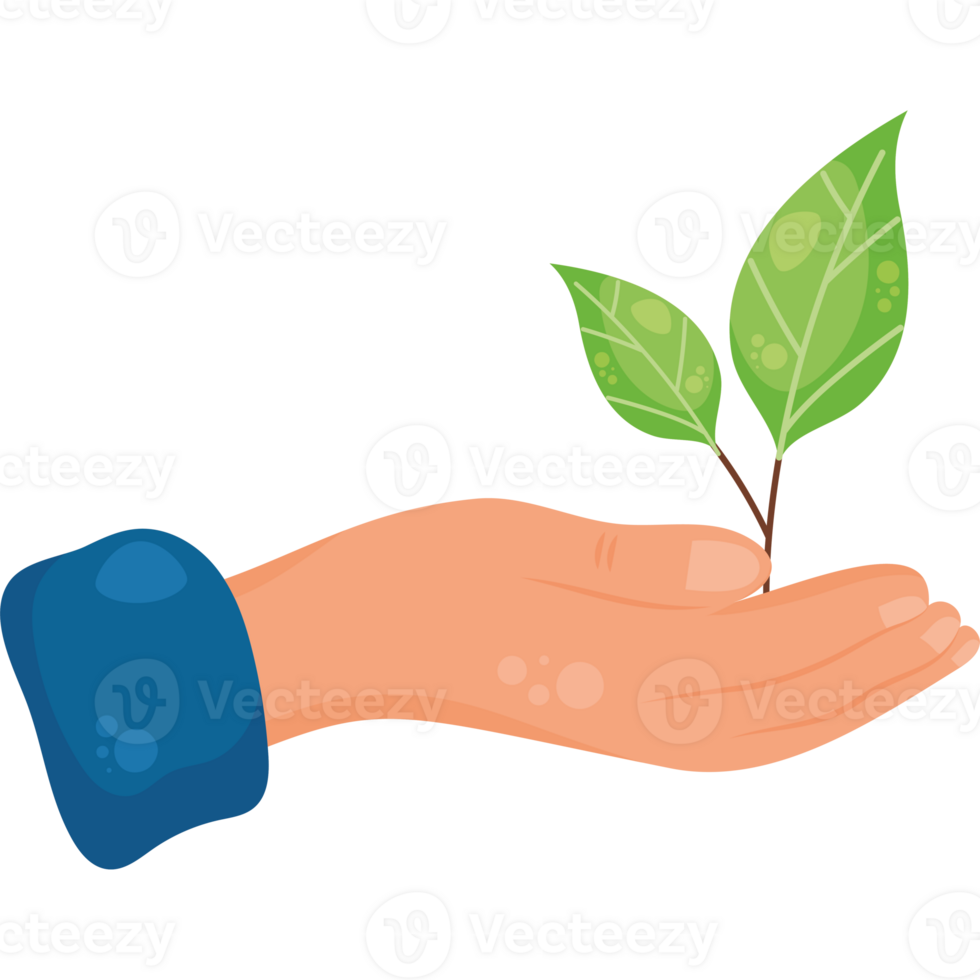 A hand holding a green plant with a black background png