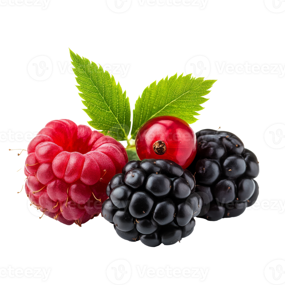 Fresh mixed berries with green leaves on display isolated transparent png