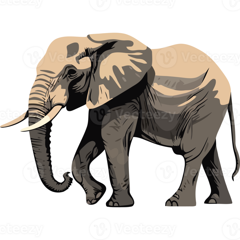 An elephant is standing on a black background png