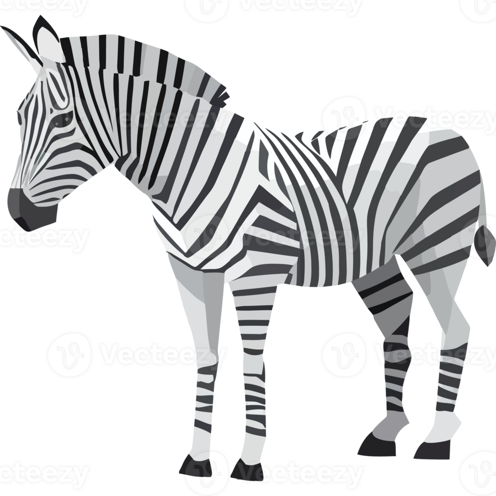 A zebra is standing in front of a black background png