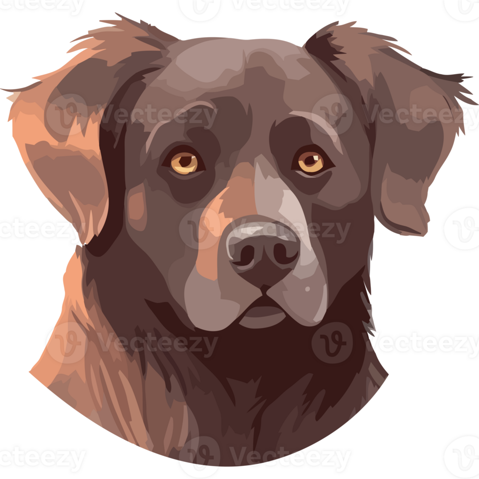 A brown dog with big eyes on a black background png
