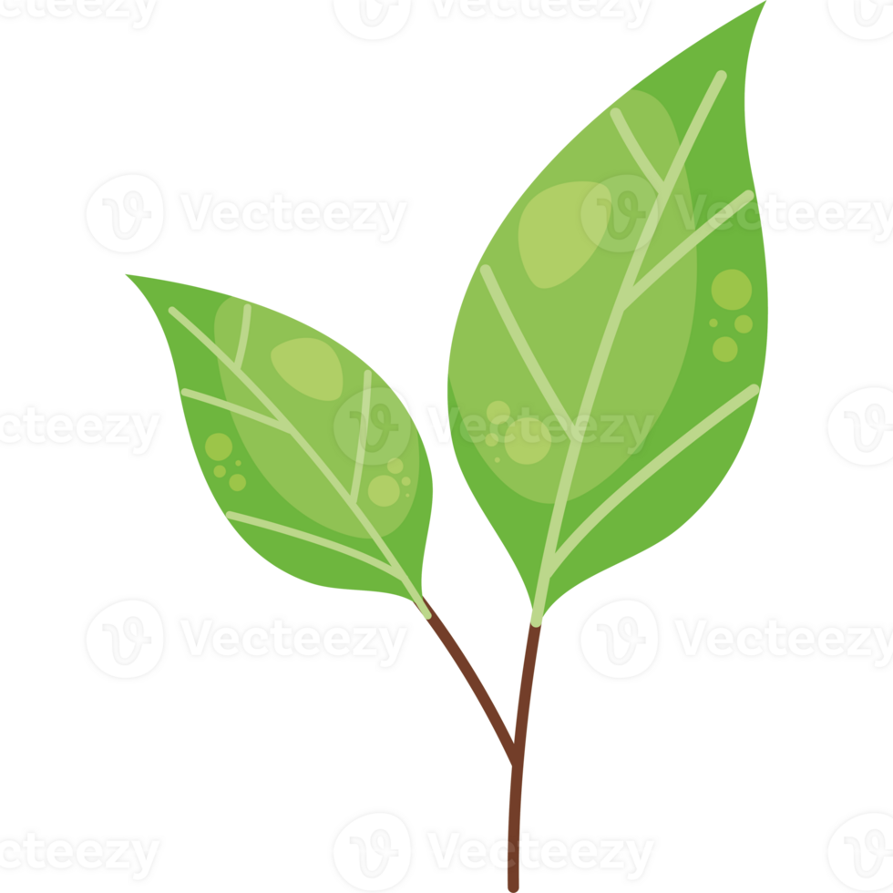une vert feuille sur une noir Contexte png