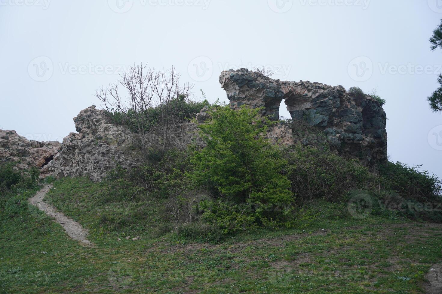 Old Ruins in Poyrazkoy, Istanbul, Turkiye photo