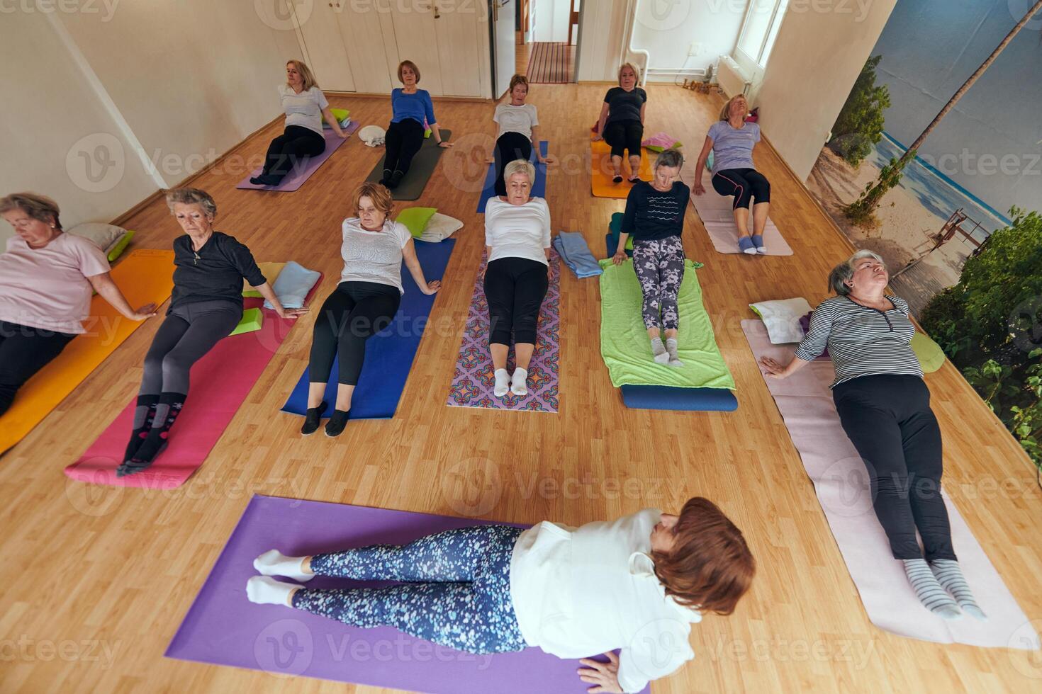 A group of senior women engage in various yoga exercises, including neck, back, and leg stretches, under the guidance of a trainer in a sunlit space, promoting well-being and harmony photo