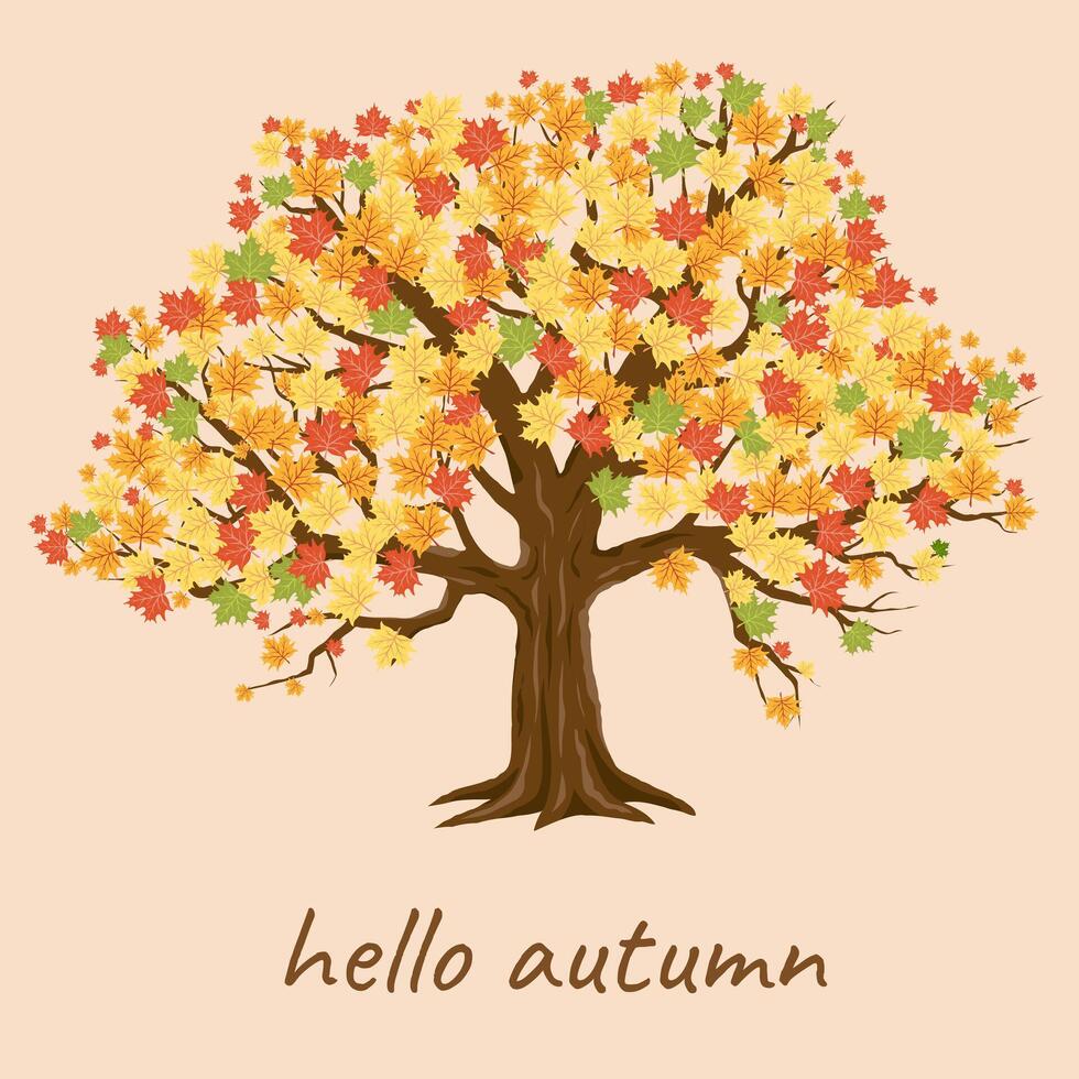 Modern Cute Hello Autumn Card Template with Maple Tree. Trendy Poster Suitable for poster, business card, invitation, flyer, banner, brochure, email header, post in social, website, print. . vector