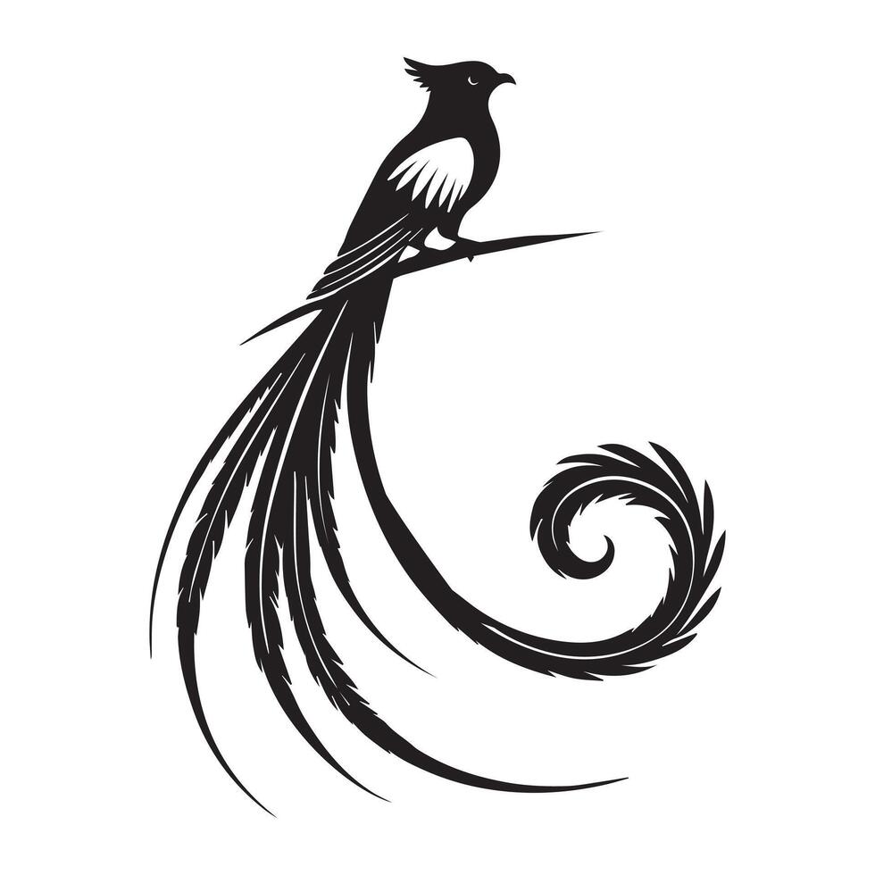 A black and white bird with long tail vector