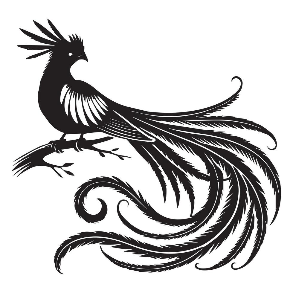 A black and white illustration of a bird with feathers vector