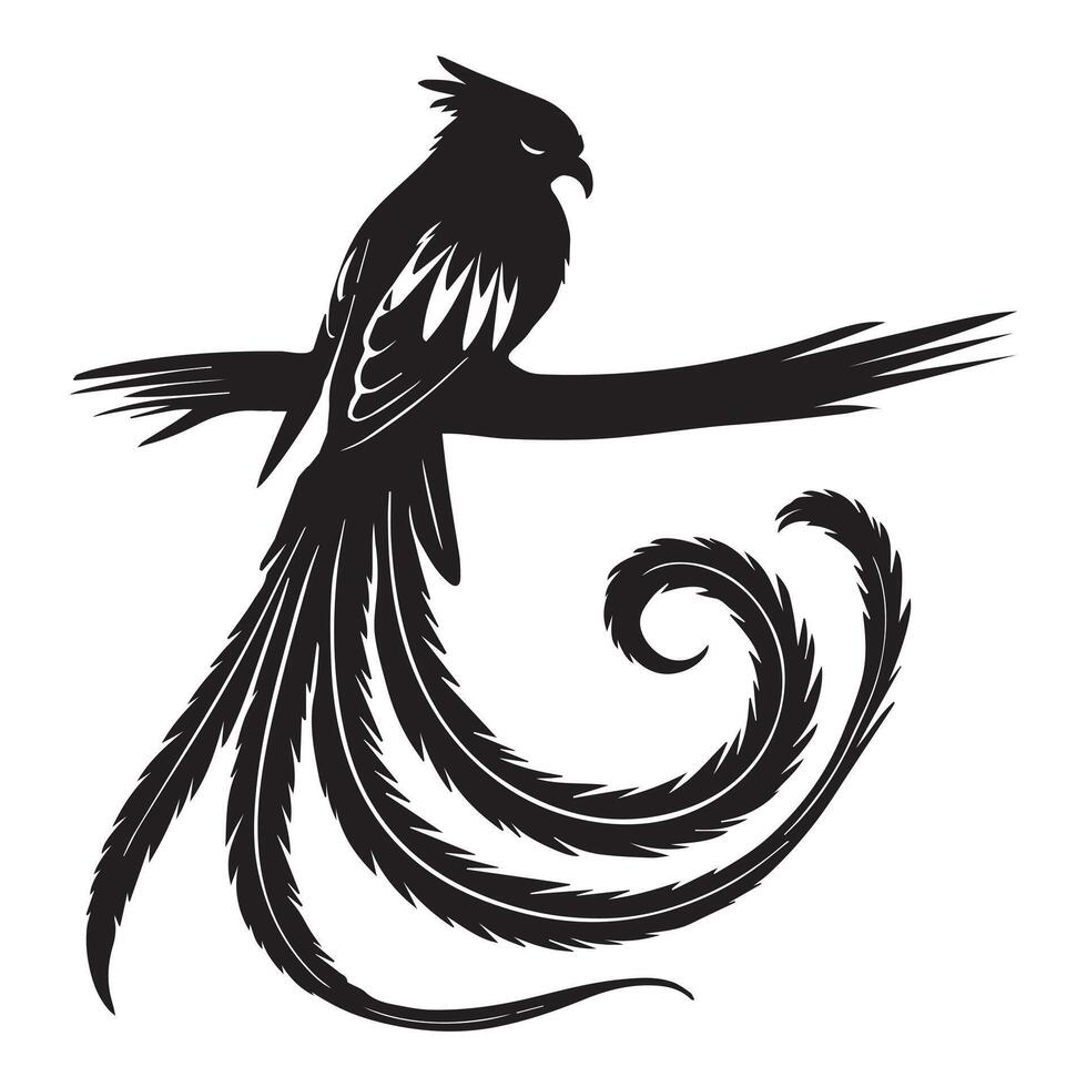 A black and white bird sitting on a branch vector