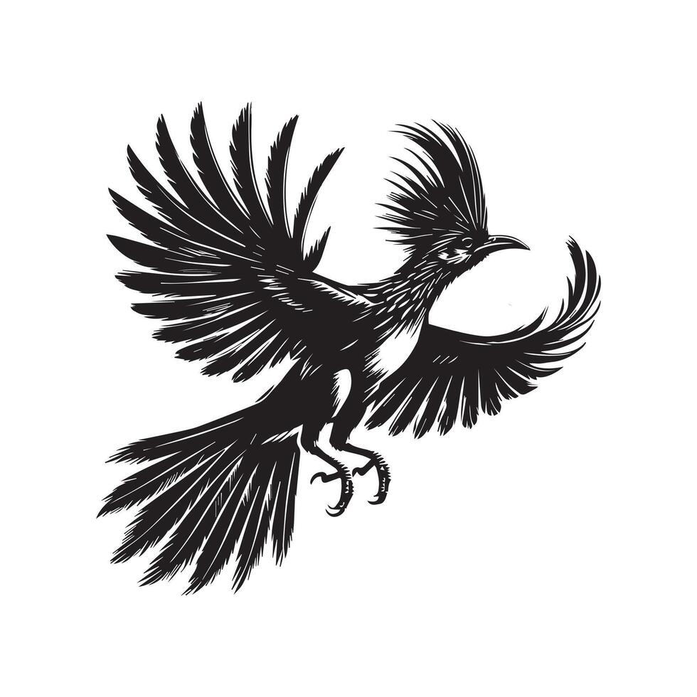 Bird of paradise illustration vector