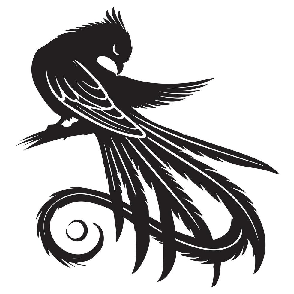 A black and white illustration of a bird with long tail vector