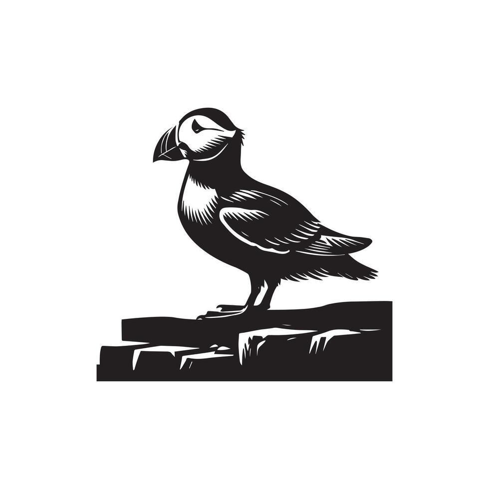 A puffin bird is standing on a rock vector