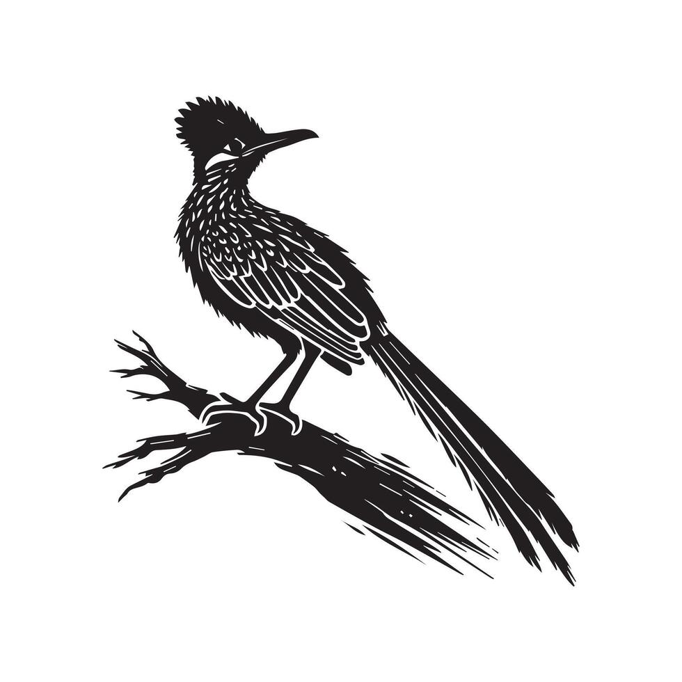 A black and white illustration of a roadrunner vector