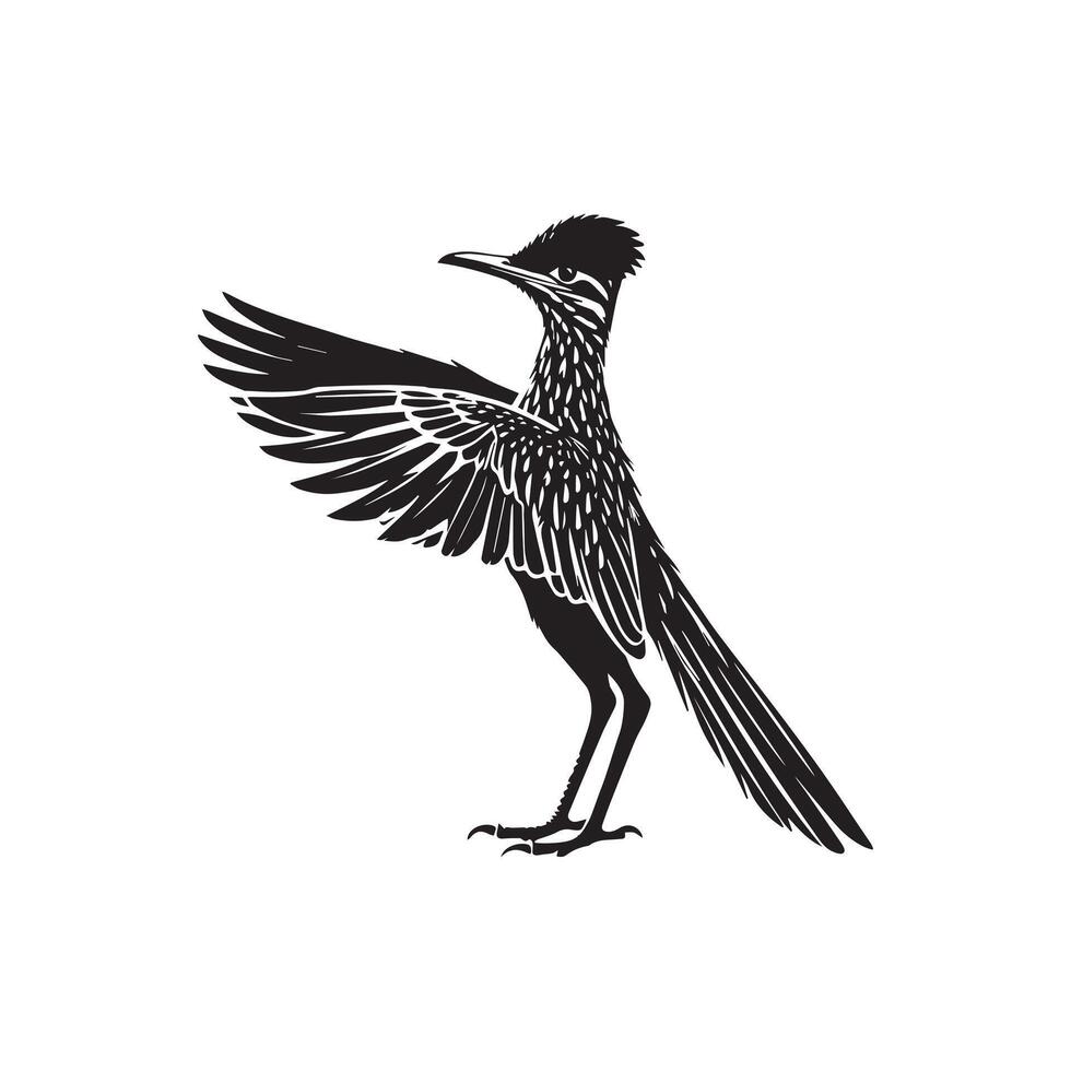 Roadrunner bird illustration vector