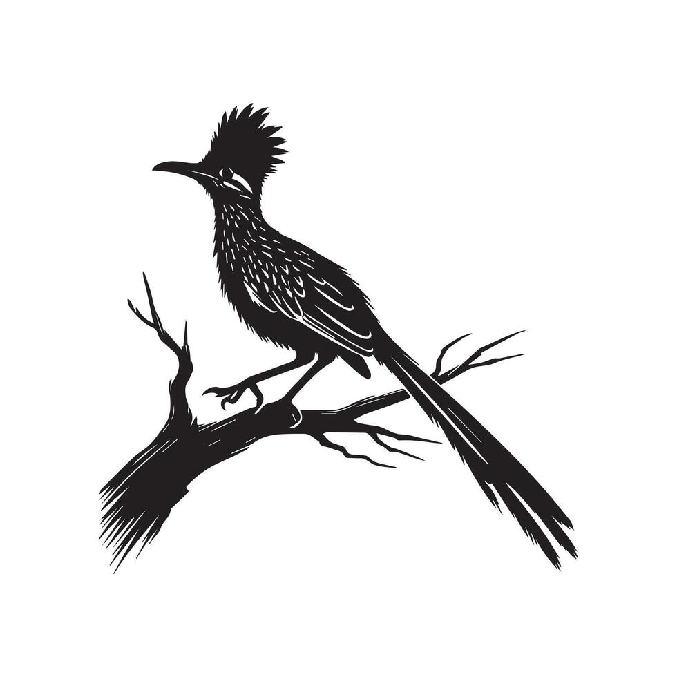 A black and white illustration of a roadrunner vector