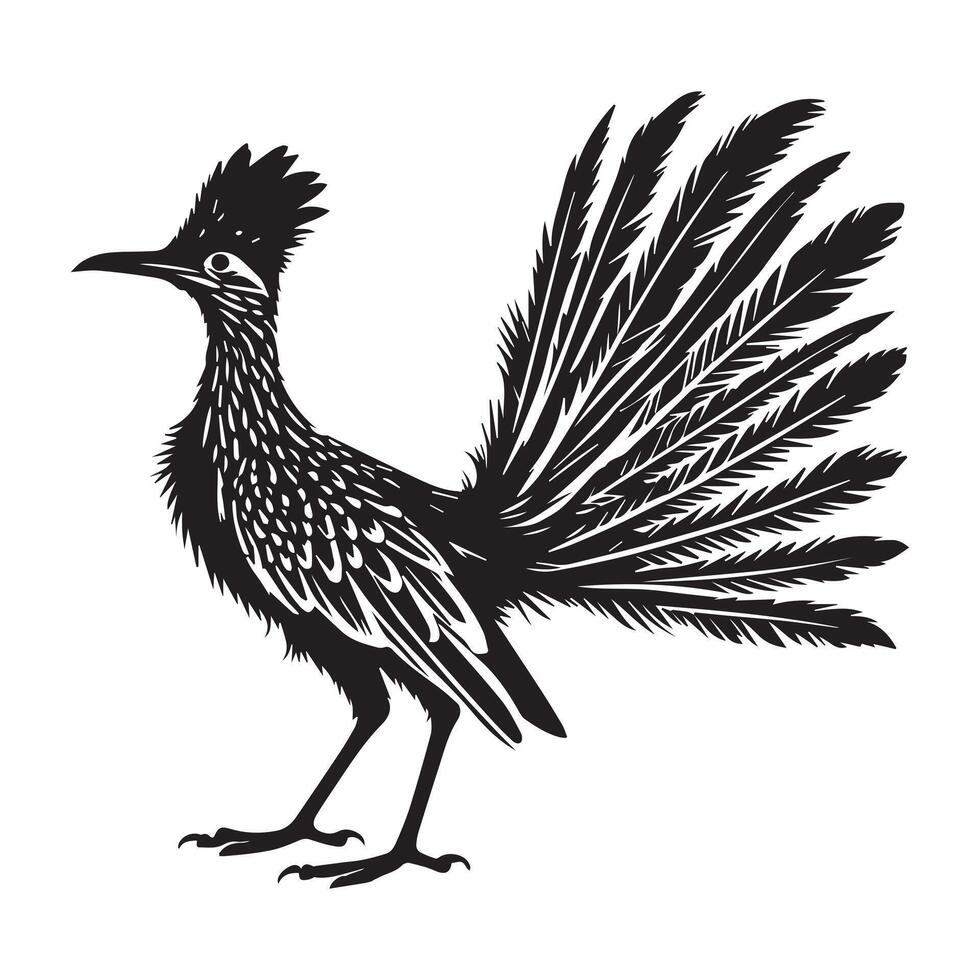A black and white illustration of a roadrunner vector