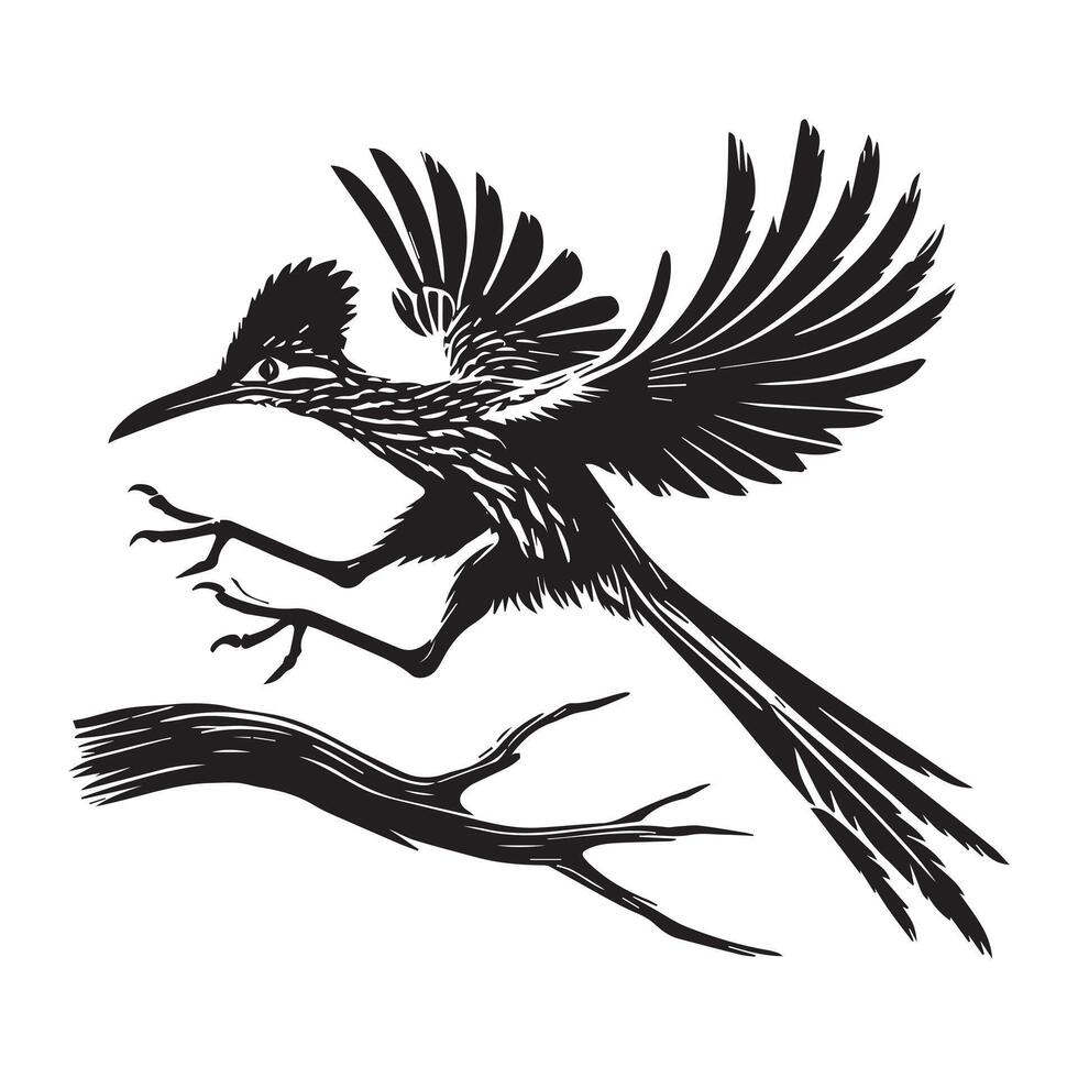A black and white illustration of a roadrunner vector