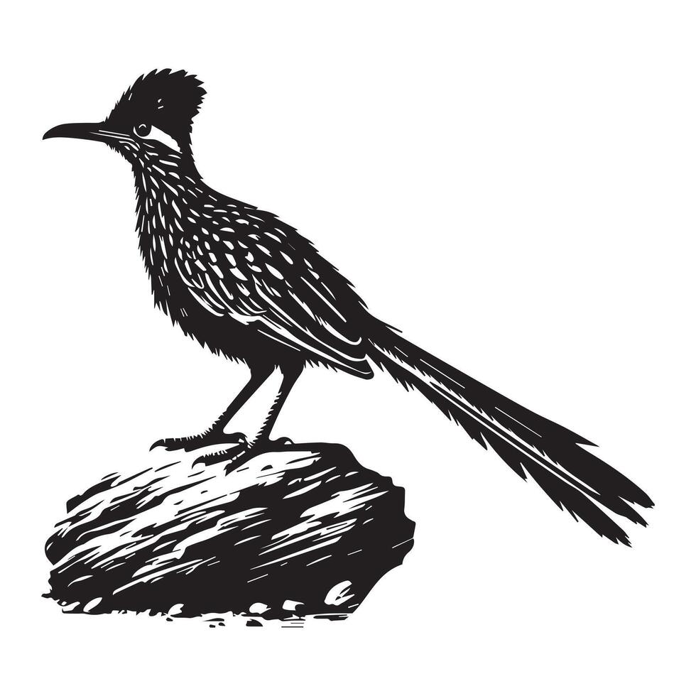 A black and white drawing of a roadrunner vector