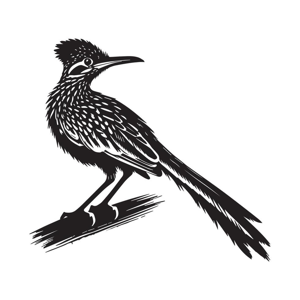 A black and white illustration of a roadrunner vector