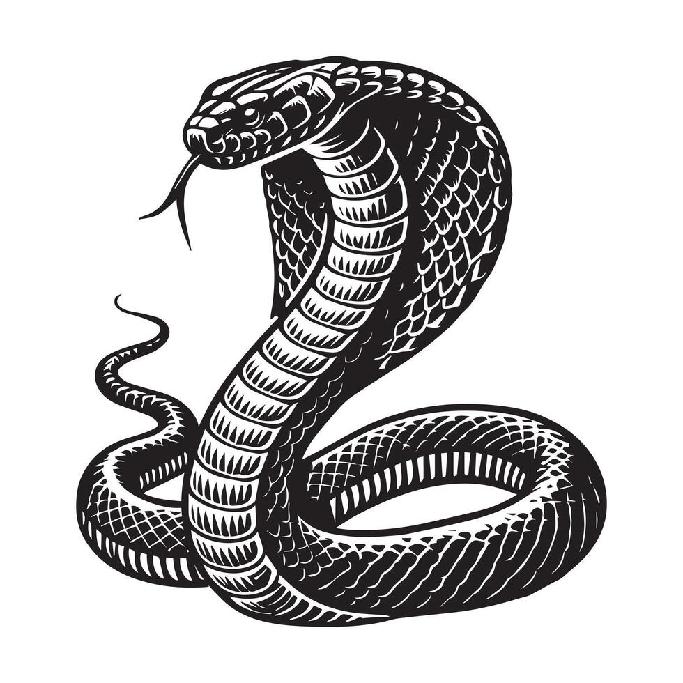 A black and white illustration of a cobra vector
