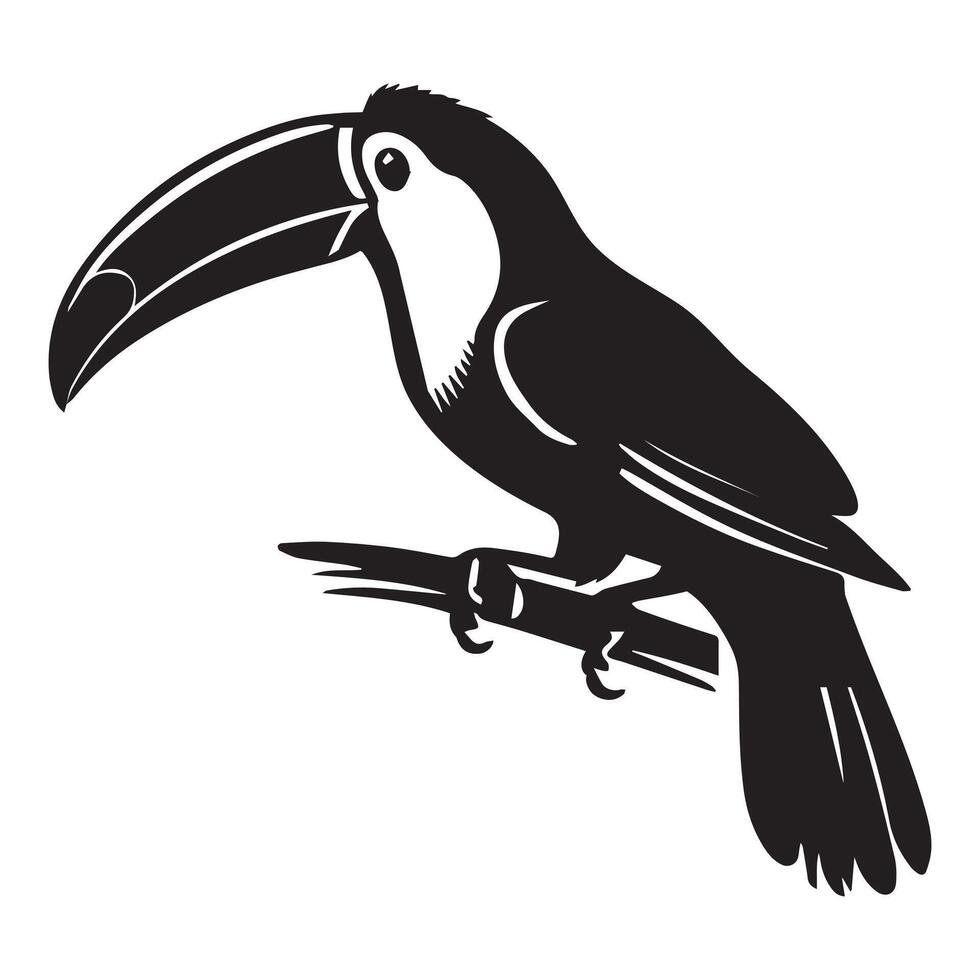 Toucan bird on branch illustration vector