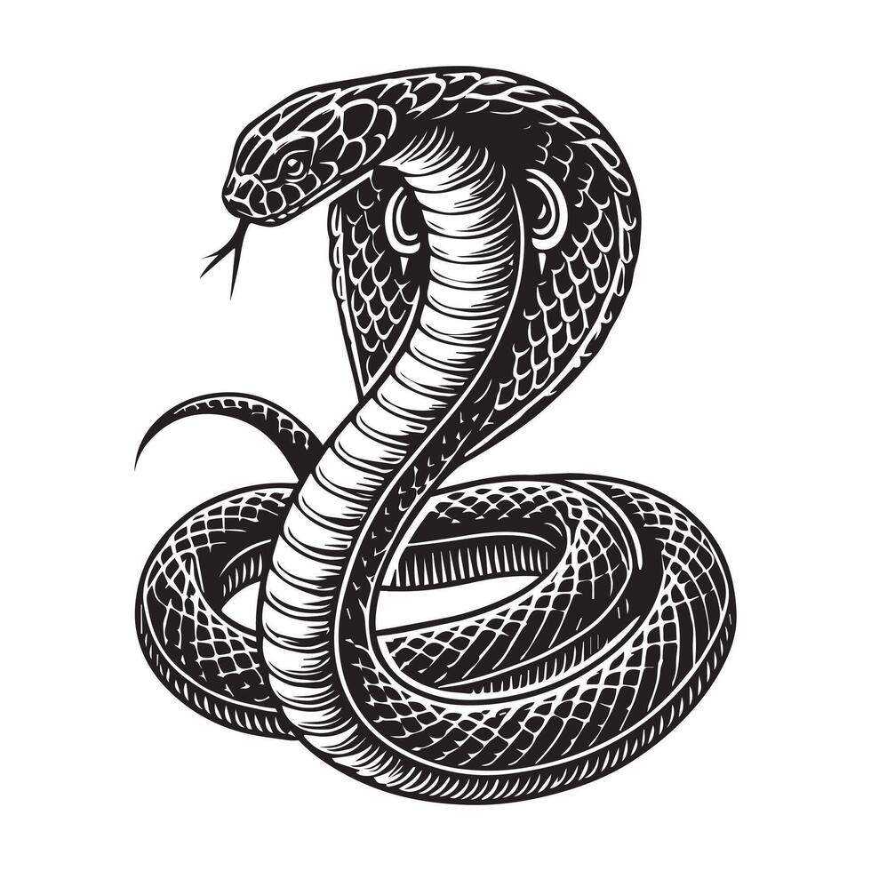 A black and white drawing of a cobra vector
