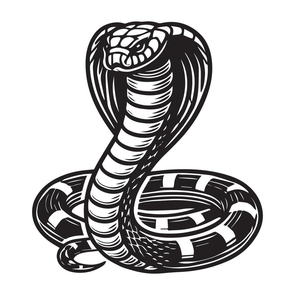 A cobra snake is shown in a black and white style vector