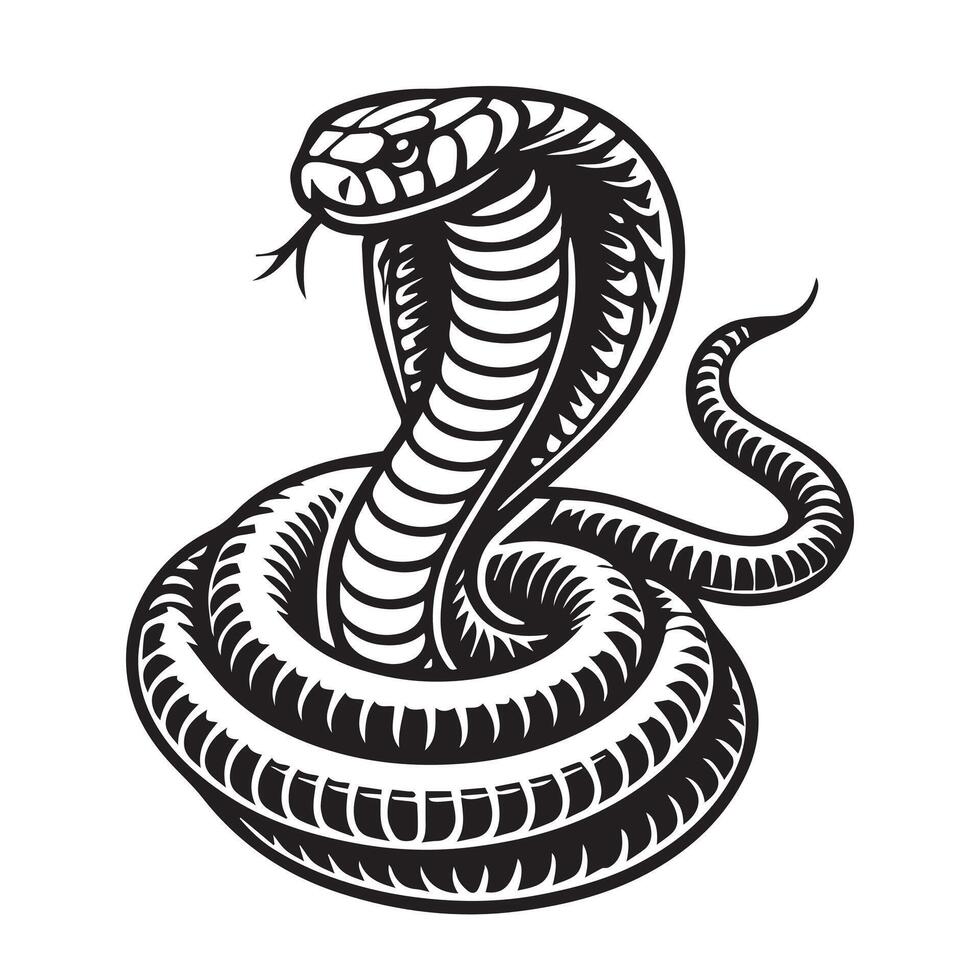 Cobra snake illustration vector