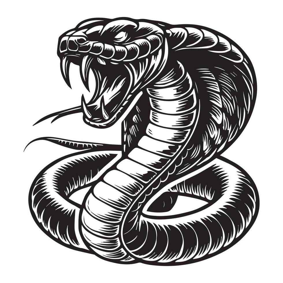 A cobra snake with its mouth open and its fangs vector