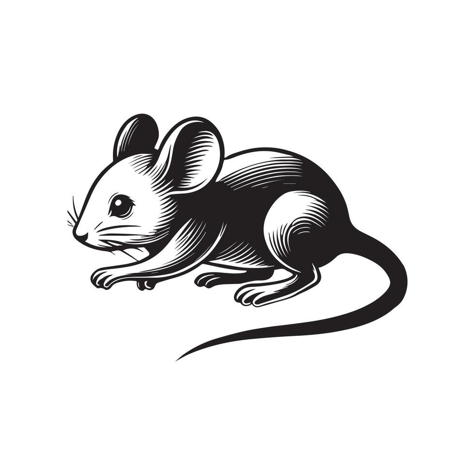 A black and white illustration of a mouse vector