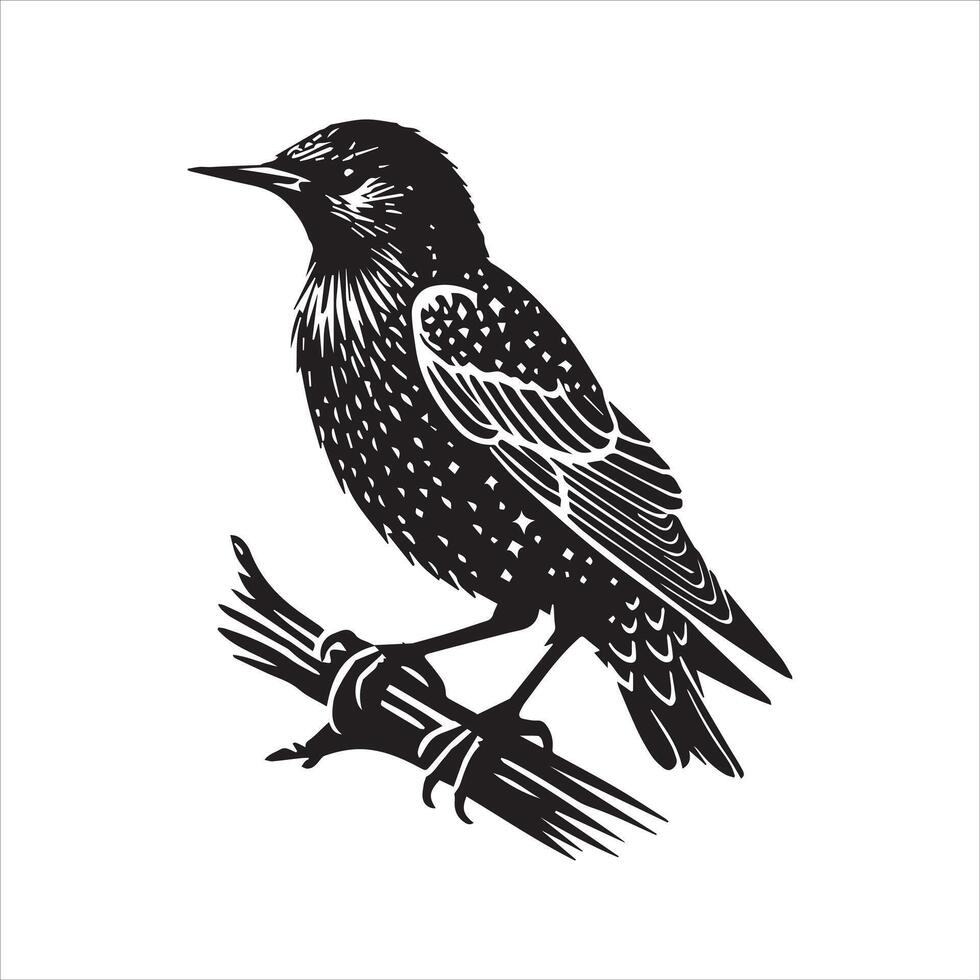 Bird on branch silhouette illustration vector