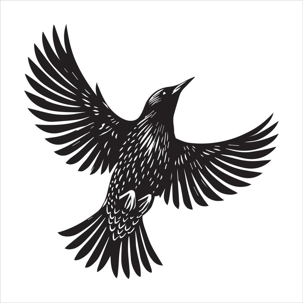 A black and white drawing of a bird flying vector