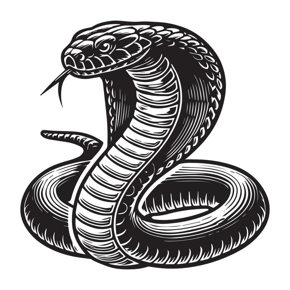 A black and white image of a cobra vector