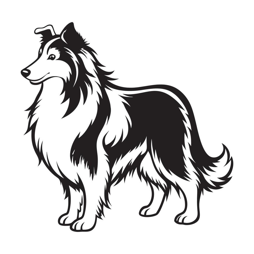 A black and white drawing of a collie dog vector