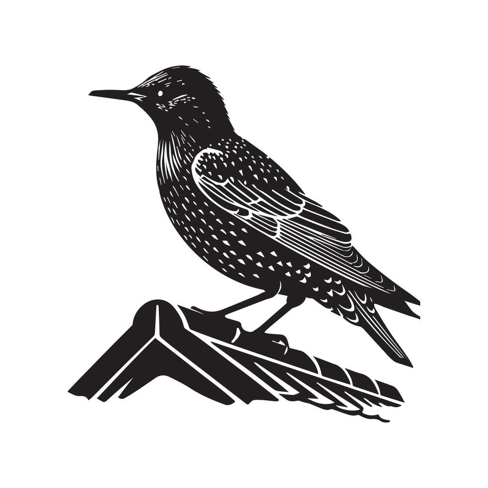 A black and white illustration of a starling vector