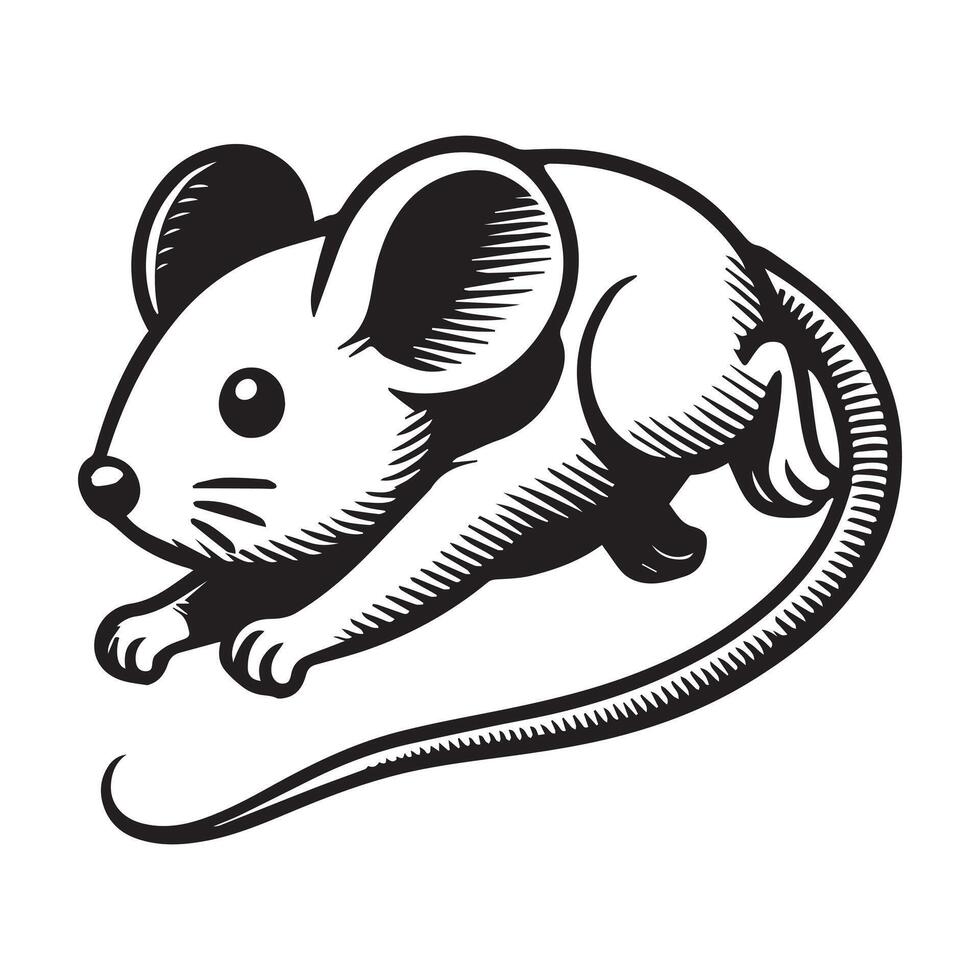 A black and white drawing of a mouse vector