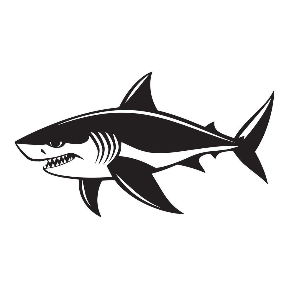 Shark illustration on white background vector