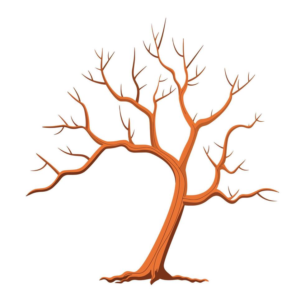 A bare tree with no leaves on a white background vector