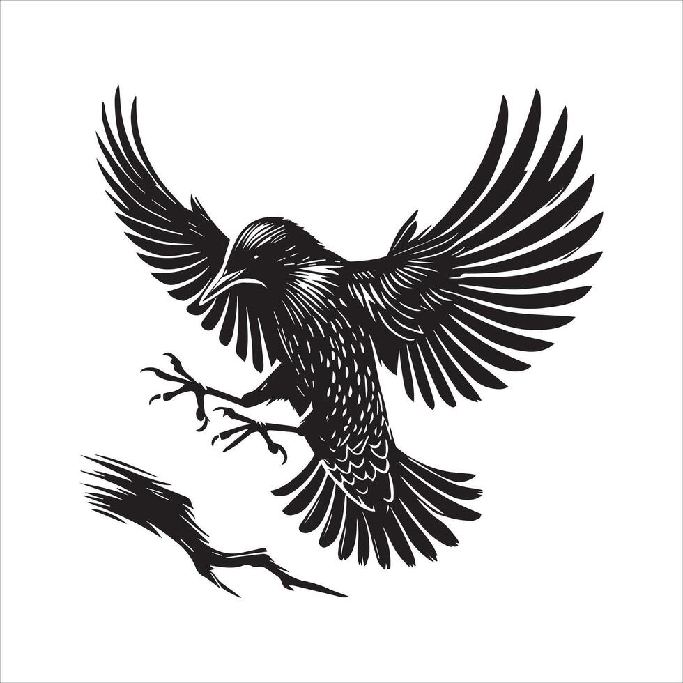 A black and white drawing of a bird flying vector