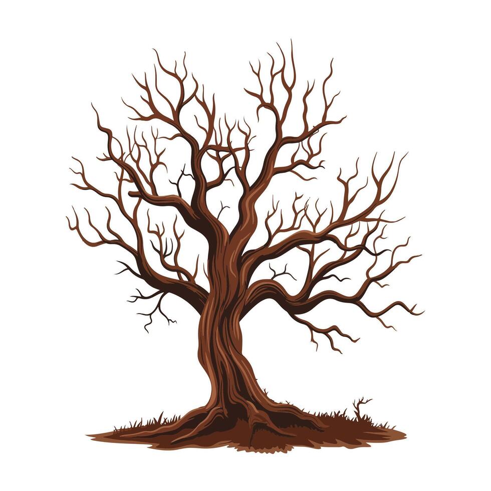 A bare tree with no leaves on a white background vector