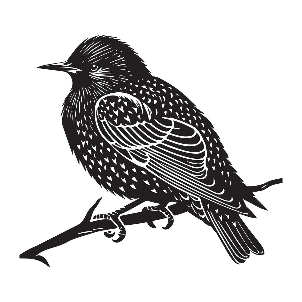 Bird on branch illustration vector