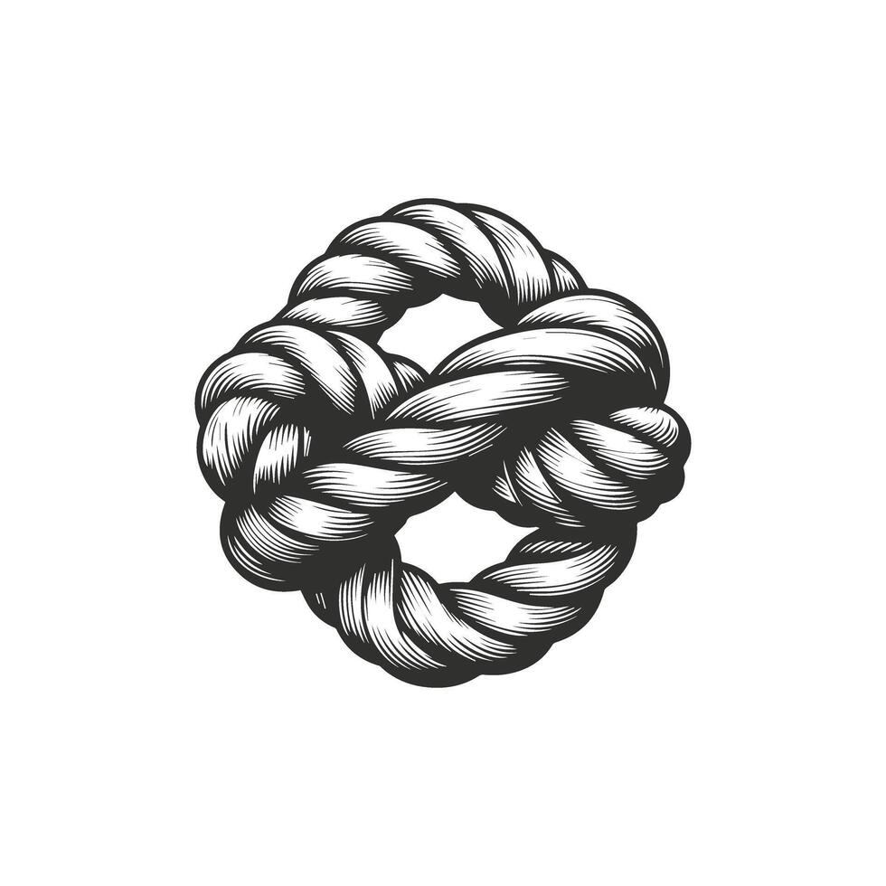 A rope on a white background. vector