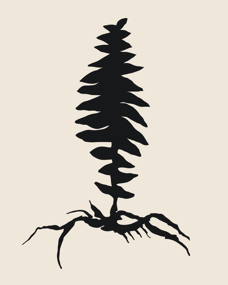 silhouette of black shadow of fern plant vector