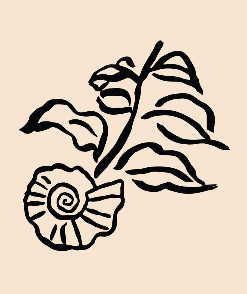 sketch of sea snails and leaves on the beach in classic style vector